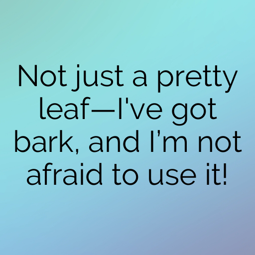 170+ Quararibea Captions For Instagram In (2025) 4 Quararibea Captions Image For Instagram In (2025)-2DVcS5