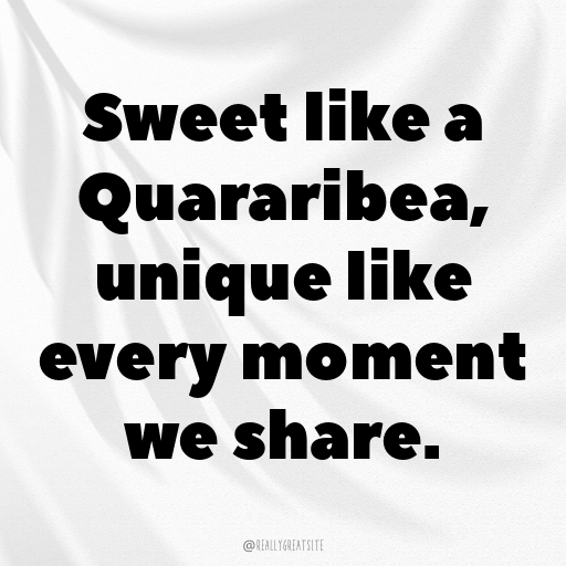 170+ Quararibea Captions For Instagram In (2025) 6 Quararibea Captions Image For Instagram In (2025)-G1F29H