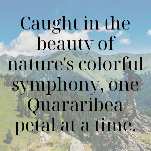 170+ Quararibea Captions For Instagram In (2025) 5 Quararibea Captions Image For Instagram In (2025)-PGYG9L