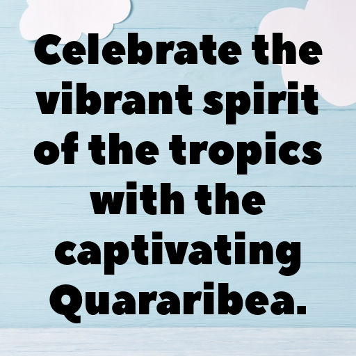 170+ Quararibea Captions For Instagram In (2025) 9 Quararibea Captions Photo For Instagram In (2025)-IwFCRV