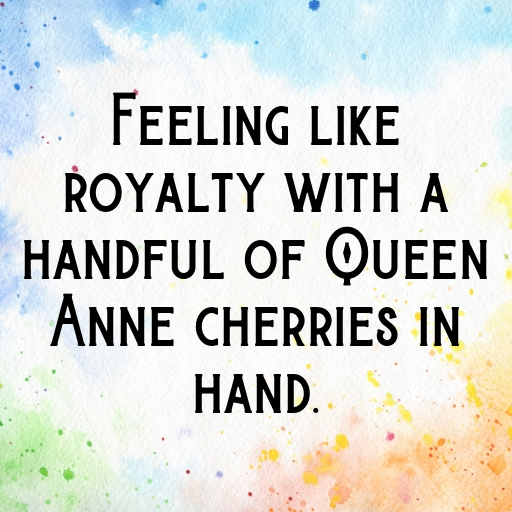 198+ Queen Anne Cherry Captions For Instagram In 2025 8 Queen Anne Cherry Captions Image For Instagram In 2025-brXt4d