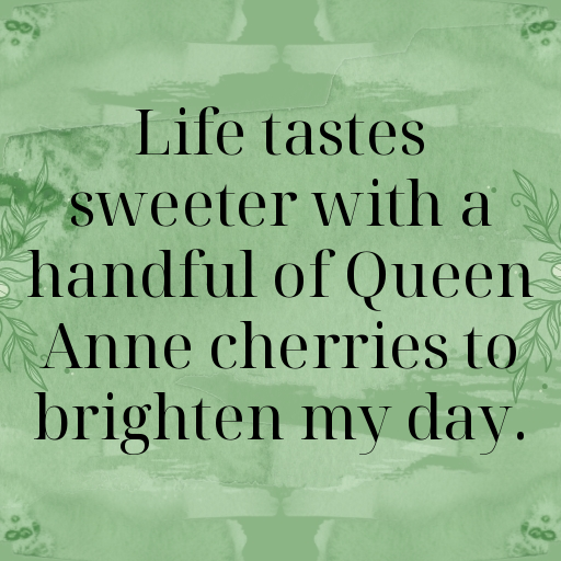198+ Queen Anne Cherry Captions For Instagram In 2025 7 Queen Anne Cherry Captions Photo For Instagram In 2025-cQMqhR