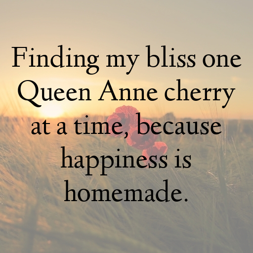 198+ Queen Anne Cherry Captions For Instagram In 2025 9 Queen Anne Cherry Captions Photo For Instagram In 2025-urTkvV