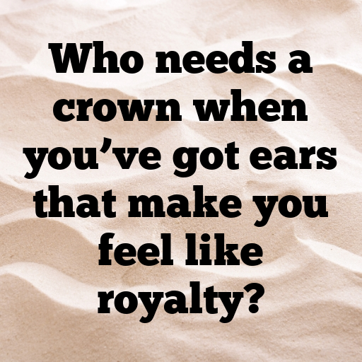 Rabbit Captions Image For Instagram In [2025]-WuLymI