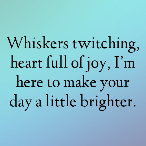 Rabbit Captions Image For Instagram In [2025]-y7fTOH