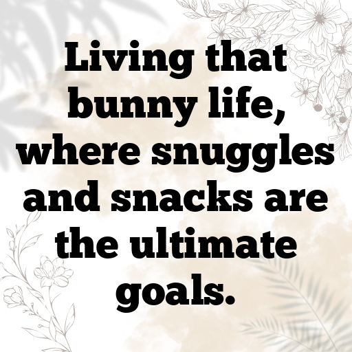 Rabbit Captions Photo For Instagram In [2025]-CmeNqN