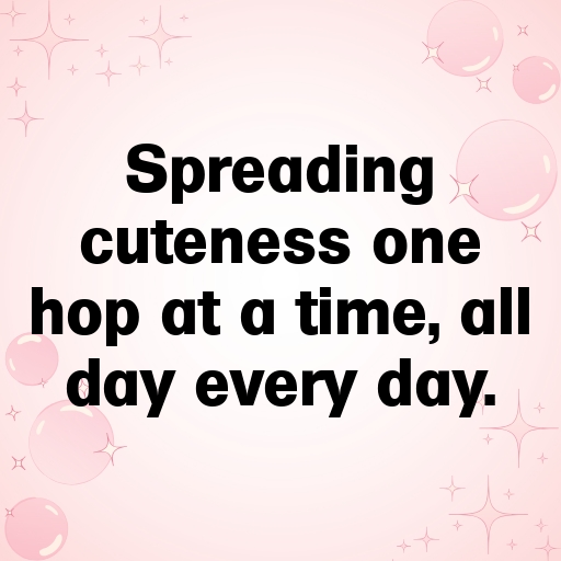 Rabbit Captions Photo For Instagram In [2025]-Laxp3H