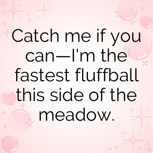 Rabbit Captions Photo For Instagram In [2025]-TavyE5