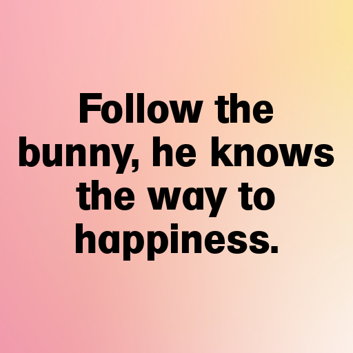 Rabbit Captions Photo For Instagram In [2025]-vKm5z2