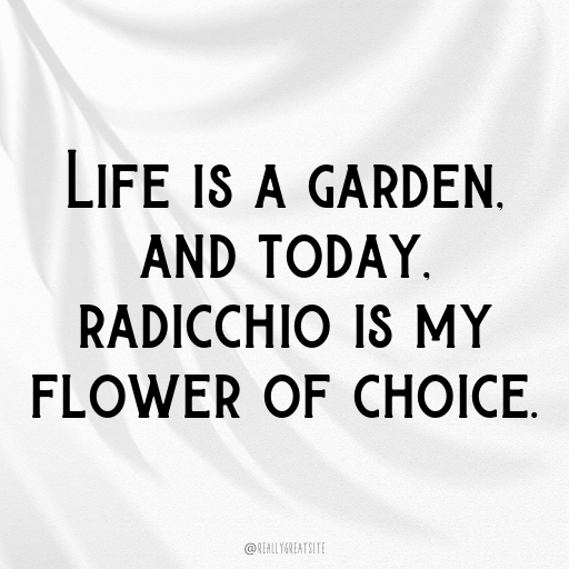 197+ Radicchio Captions For Instagram In 2025 6 Radicchio Captions Image For Instagram In 2025-9npZRV