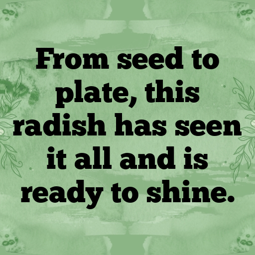 Radish Captions Photo For Instagram In [2025]-F1Zeh9