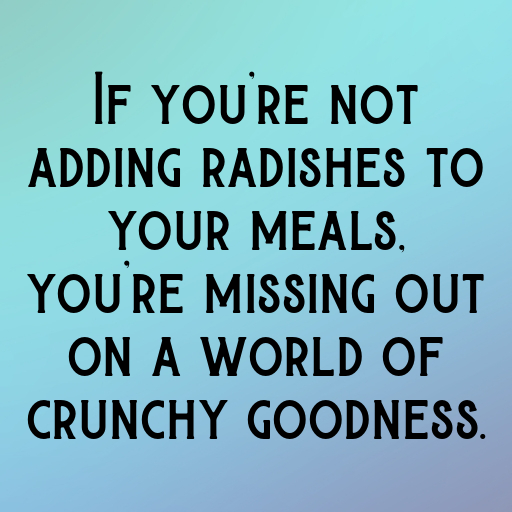 Radish Captions Photo For Instagram In [2025]-PGDOrY