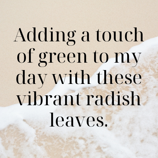 Radish Greens Captions Photo For Instagram In 2025-N68zn1