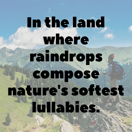 158+ Rainforest Captions for Instagram In (2025) 9 Rainforest Captions Image for Instagram In (2025)-H0t7rE