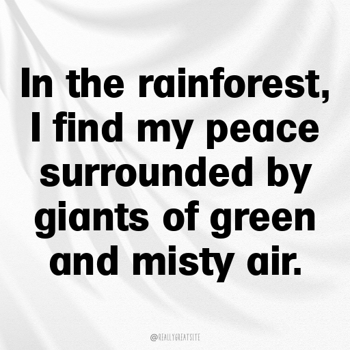 158+ Rainforest Captions for Instagram In (2025) 7 Rainforest Captions Photo for Instagram In (2025)-5dKX6J