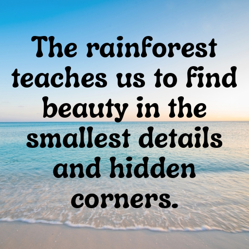 158+ Rainforest Captions for Instagram In (2025) 8 Rainforest Captions Photo for Instagram In (2025)-9SCXOB