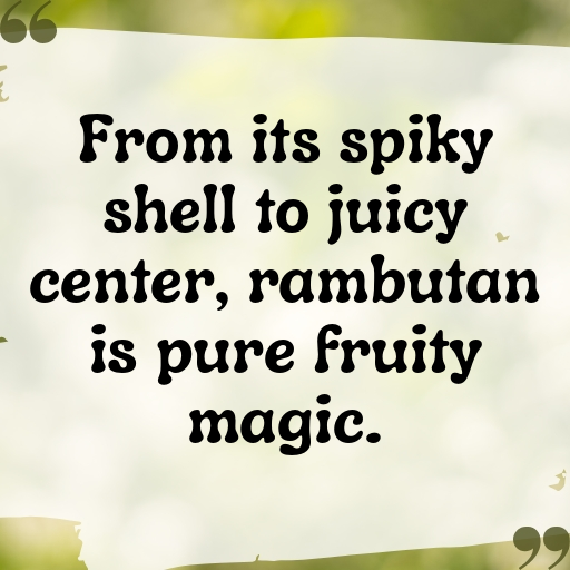 Rambutan Captions Image For Instagram In (2025)-nX4ygA