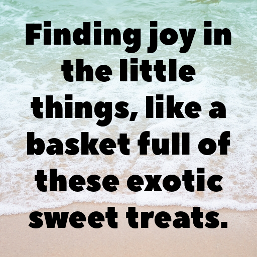 Rambutan Captions Image For Instagram In (2025)-oxR2kx