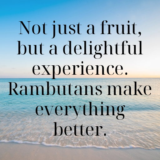 Rambutan Captions Photo For Instagram In (2025)-3X7rJ2