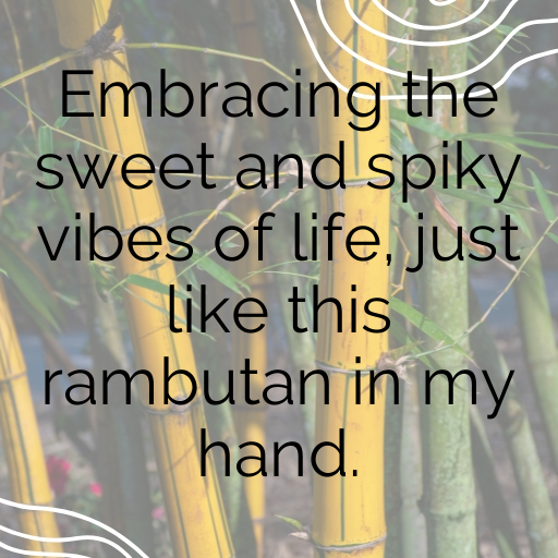 Rambutan Captions Photo For Instagram In (2025)-m0i45L