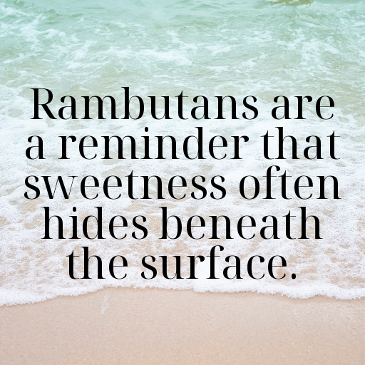 Rambutan Captions Photo For Instagram In (2025)-vTXNiP