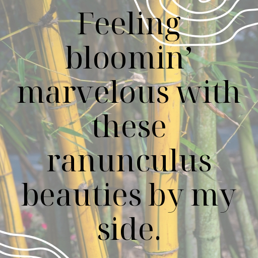 Ranunculus Captions Photo For Instagram In [2025]-i6bDrz