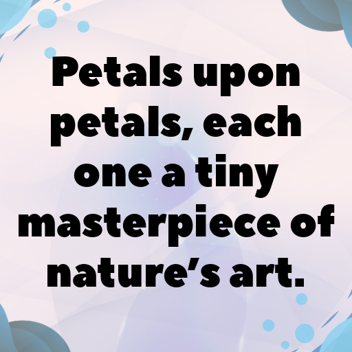 Ranunculus Captions Photo For Instagram In [2025]-yx8tAx