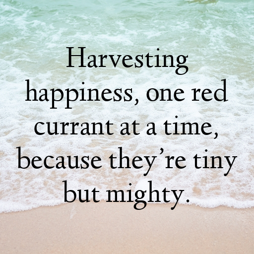 Red Currant Captions Image For Instagram In 2025-GyiO2G