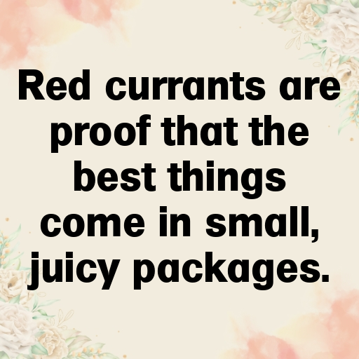 Red Currant Captions Image For Instagram In 2025-mddBl2