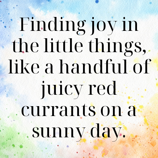 Red Currant Captions Photo For Instagram In 2025-71990I