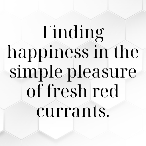 Red Currant Captions Photo For Instagram In 2025-9BSiQW