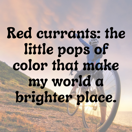 Red Currant Captions Photo For Instagram In 2025-B9tI19