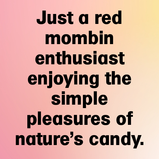 200+ Red Mombin Captions For Instagram In (2025) 7 Red Mombin Captions Image For Instagram In (2025)-fGKjEq