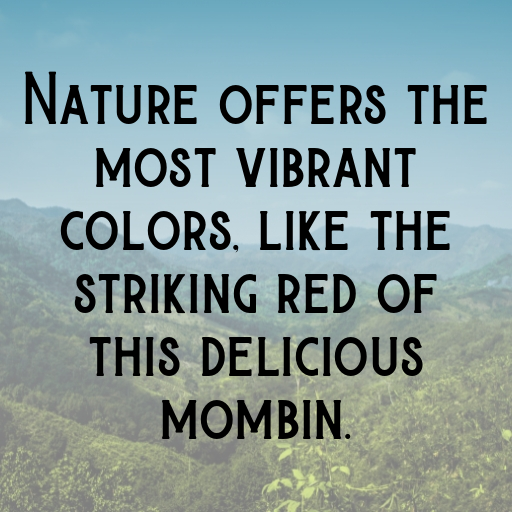 200+ Red Mombin Captions For Instagram In (2025) 3 Red Mombin Captions Image For Instagram In (2025)-WjPlJ2