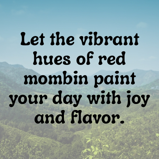 200+ Red Mombin Captions For Instagram In (2025) 9 Red Mombin Captions Image For Instagram In (2025)-wY2Li0