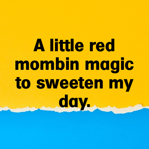 200+ Red Mombin Captions For Instagram In (2025) 5 Red Mombin Captions Photo For Instagram In (2025)-0mc6YB