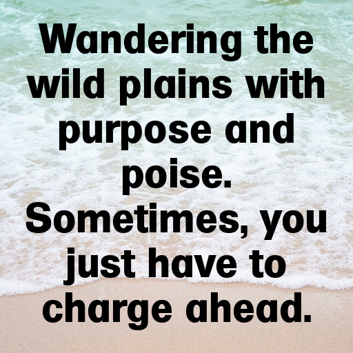 Rhinoceros Captions Image For Instagram In [2025]-An99qj