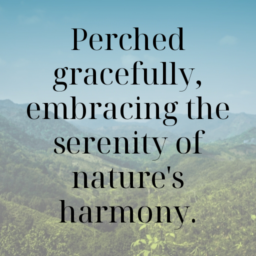 Robin Captions Image For Instagram In 2025-lMxfgE