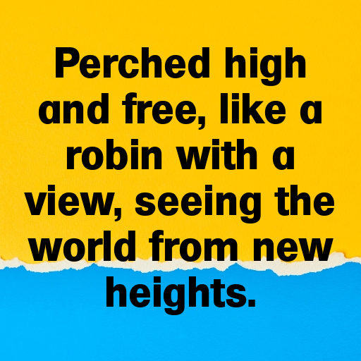 Robin Captions Image For Instagram In 2025-S5Trzd