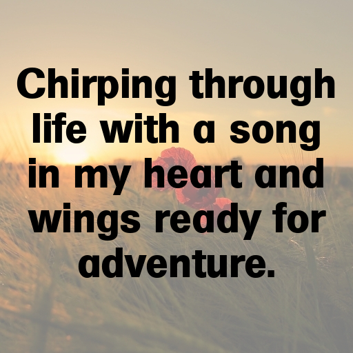 Robin Captions Image For Instagram In 2025-xpZzy5