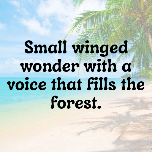 Robin Captions Photo For Instagram In 2025-EaahOw