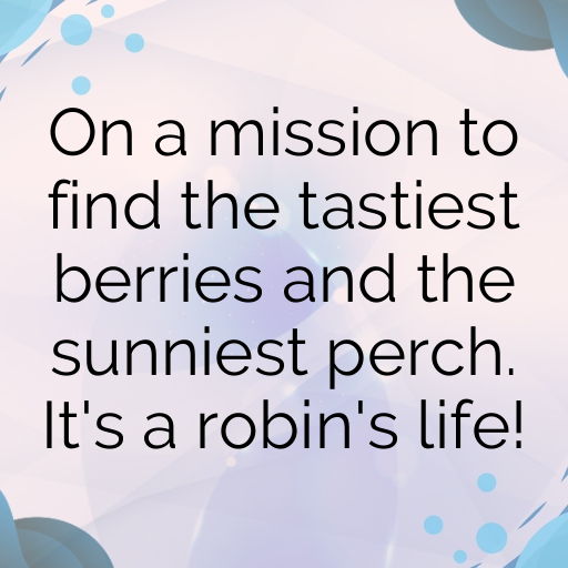 Robin Captions Photo For Instagram In 2025-v7Jijk