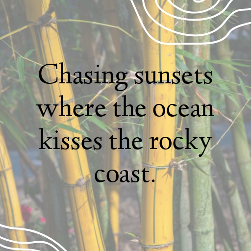 Rocky Shore Captions Photo for Instagram In [2025]-rg5Yz8