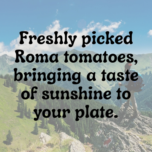 156+ Roma Tomato Captions For Instagram In 2025 7 Roma Tomato Captions Photo For Instagram In 2025-qIlaJH