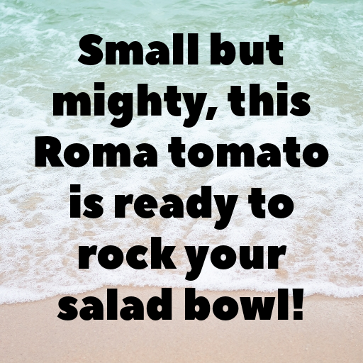 156+ Roma Tomato Captions For Instagram In 2025 6 Roma Tomato Captions Photo For Instagram In 2025-UjL3JK