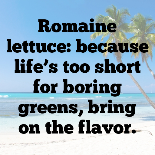 Romaine Lettuce Captions Image For Instagram In (2025)-4dFaDv