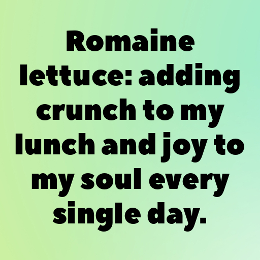 Romaine Lettuce Captions Image For Instagram In (2025)-xlBGS4