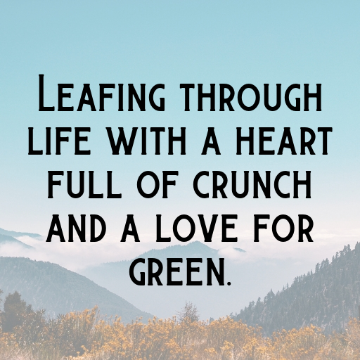 Romaine Lettuce Captions Photo For Instagram In (2025)-NP6SQI