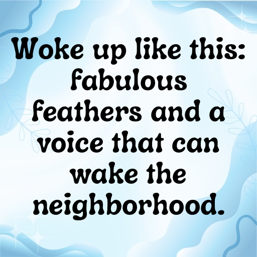 197+ Rooster Captions For Instagram In (2025) 4 Rooster Captions Image For Instagram In (2025)-NAh9fY