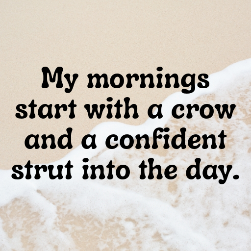 197+ Rooster Captions For Instagram In (2025) 10 Rooster Captions Image For Instagram In (2025)-rx1Hvq